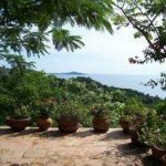 Luscious_Jungle_Retreat_Mexico809_6