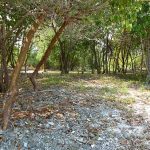 Oceanfront_Property_for_Sale, Honduras