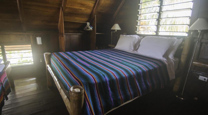 R125 - Green Parrot - Beach house - loft bed