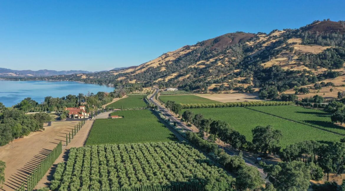 California lakeside wine estate for sale with vineyards