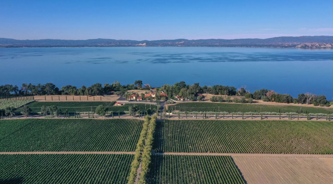 california vineyard for sale