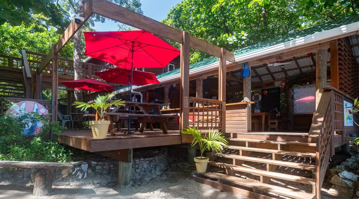 BI-Diveshop-web-1-1200x1000