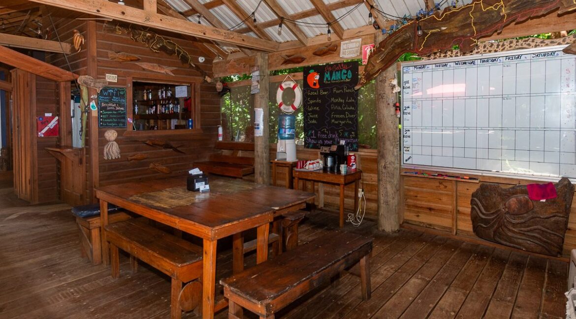 BI-Diveshop-web-2-1200x1000