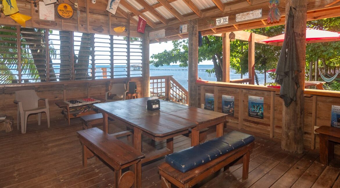 BI-Diveshop-web-3-1200x1000