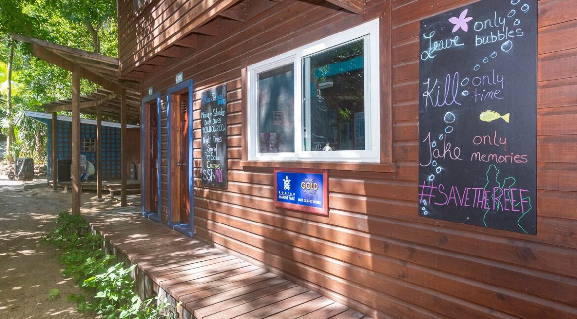 BI-Diveshop-web-6-1200x1000