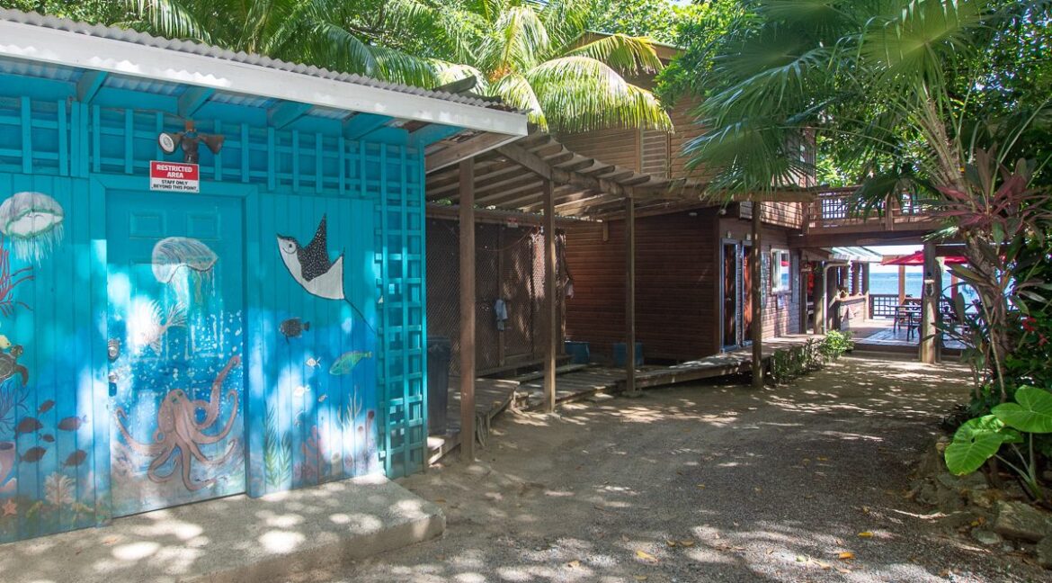 BI-Diveshop-web-8-1200x1000