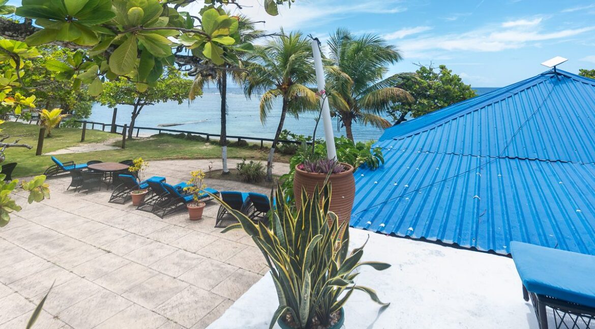 Main-web-6-1200x1000