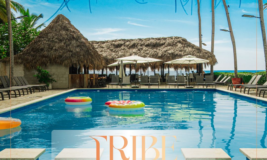 Tribe Resort 3 1_1