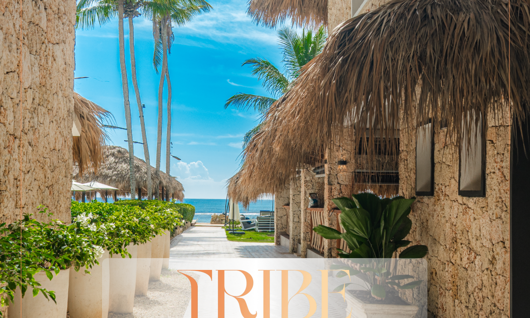 Tribe Resort 4 1_1