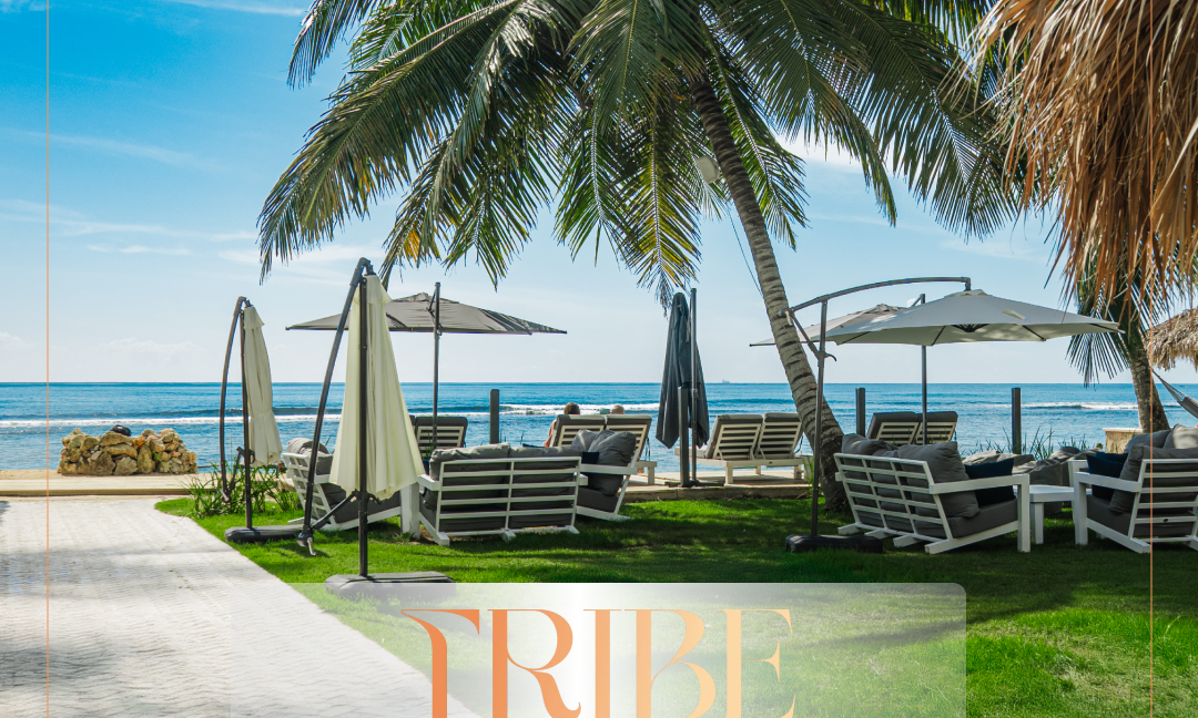 Tribe Resort 6 1_1