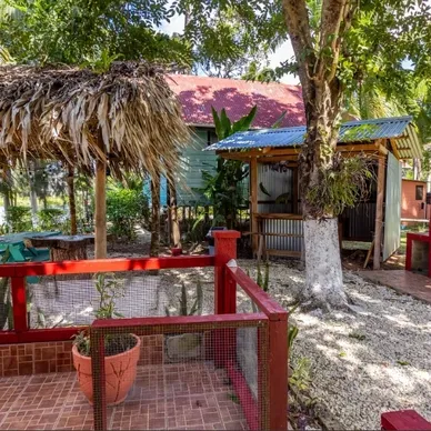 rs=w_388,h_388,cg_true (2)