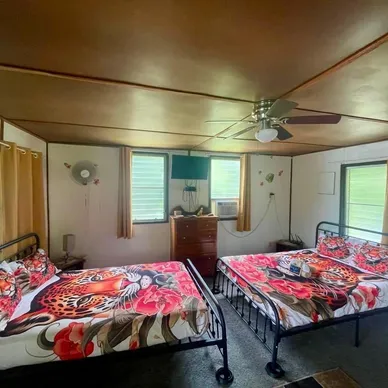 rs=w_388,h_388,cg_true (6)