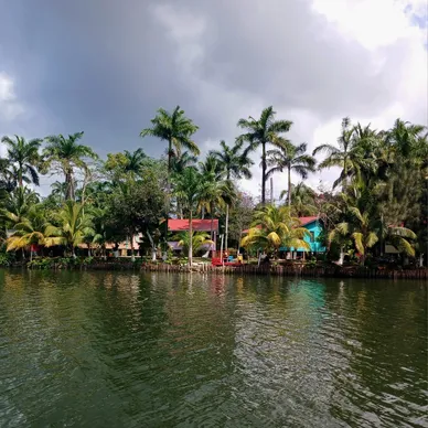 rs=w_388,h_388,cg_true (8)