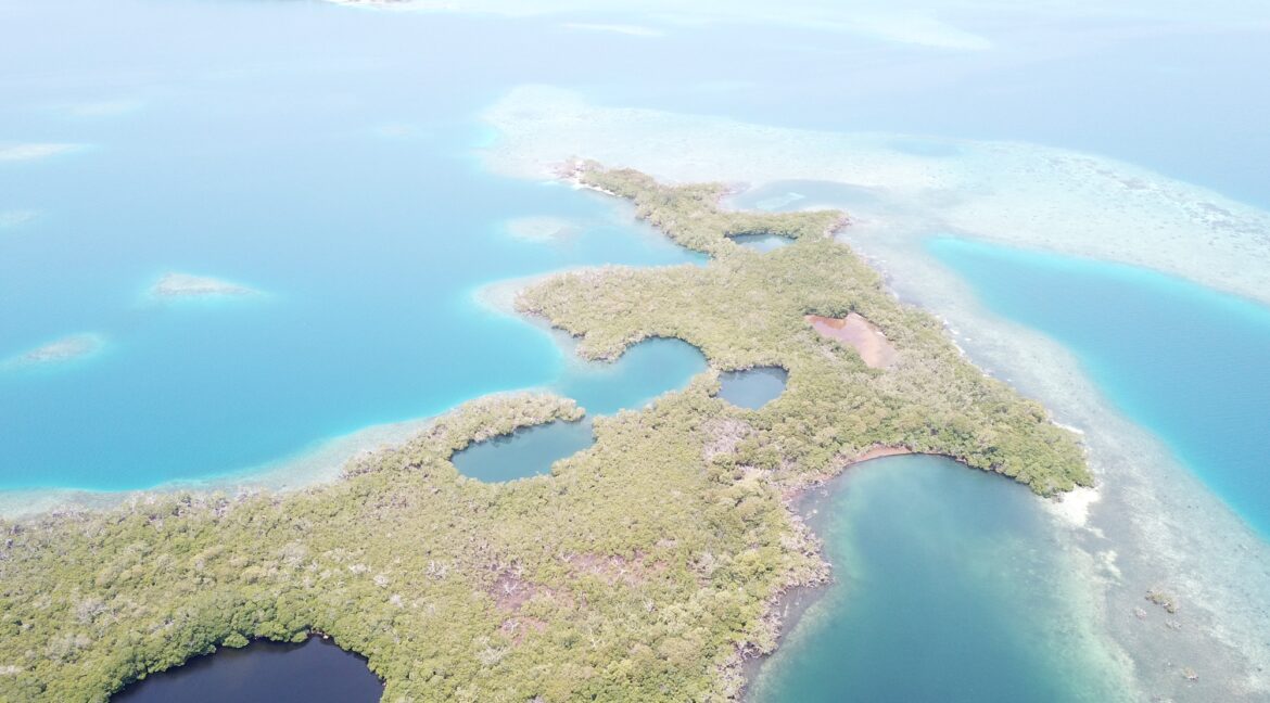 2309_DJI_0032-1