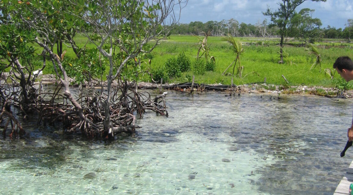 I2411-Private-42-acre-Island-Ready-for-development-14