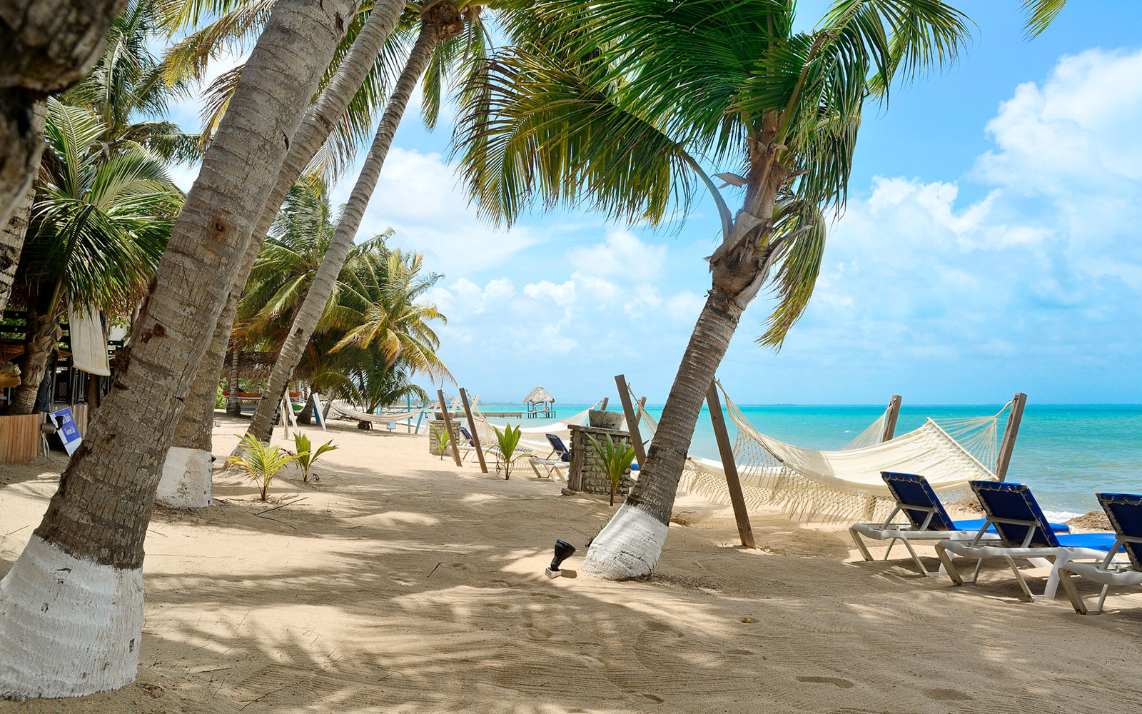 Tropical Beachfront Resort for sale  Belize